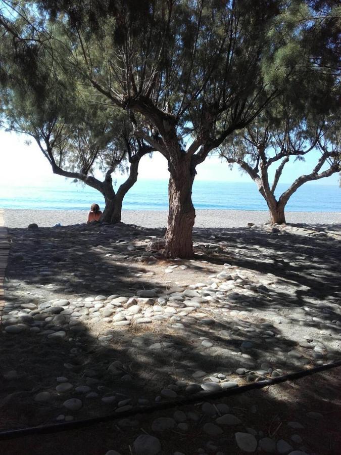 Pericles Traditional Cretan Home Stavrokhorion 외부 사진
