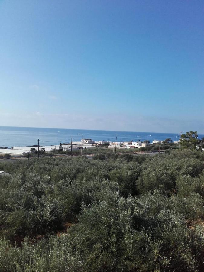 Pericles Traditional Cretan Home Stavrokhorion 외부 사진
